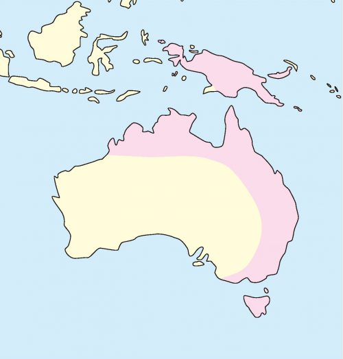 フクロモモンガ分布地図
