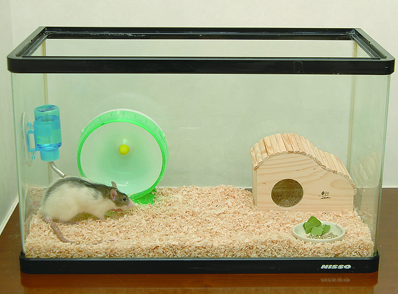 ハムスターペットラットマウス爬虫類小動物用品飼育ケージ大きめハウス