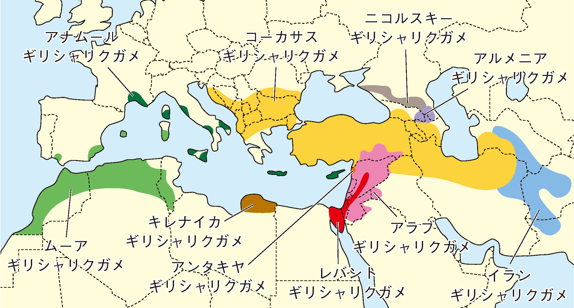 ギリシャリクガメ分布図